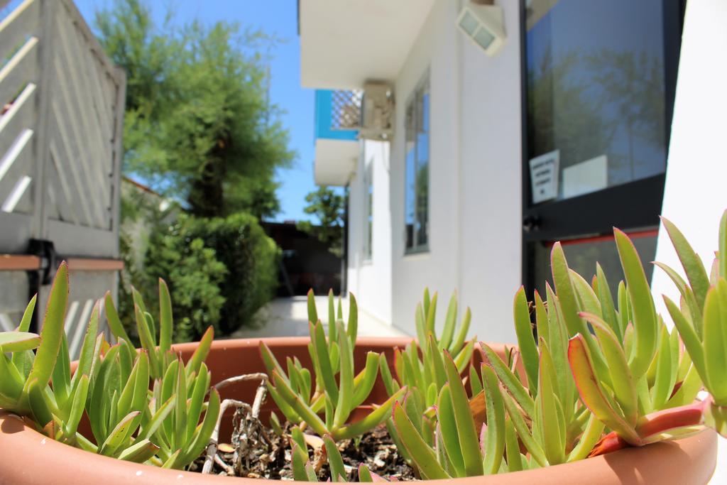 Hotel Eco Del Mare Marina di Massa Ngoại thất bức ảnh